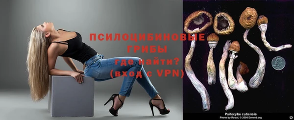 спиды Алзамай