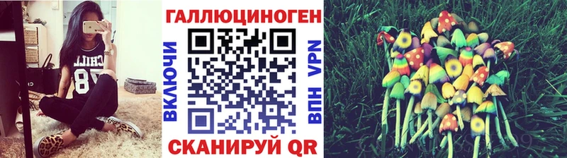 Галлюциногенные грибы GOLDEN TEACHER  Калининск 